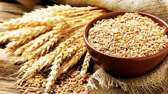 గోధుమల కోసం భారత్‌ను ఆశ్రయించిన బంగ్లాదేశ్