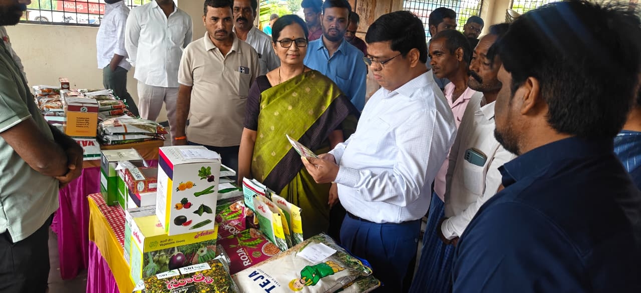 ఎల్నినో కారణంగా రైతులు ప్రత్యామ్నాయ పంటలను సాగు చేయాలి