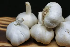 Garlic Health Benefits: వెల్లుల్లిని ఆయుర్వేదంతో ఎందుకు పోలుస్తారు తెలుసా!... వీటి ఉపయోగాలు తెలిస్తే షాకే?