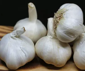 Garlic Health Benefits: వెల్లుల్లిని ఆయుర్వేదంతో ఎందుకు పోలుస్తారు తెలుసా!... వీటి ఉపయోగాలు తెలిస్తే షాకే?