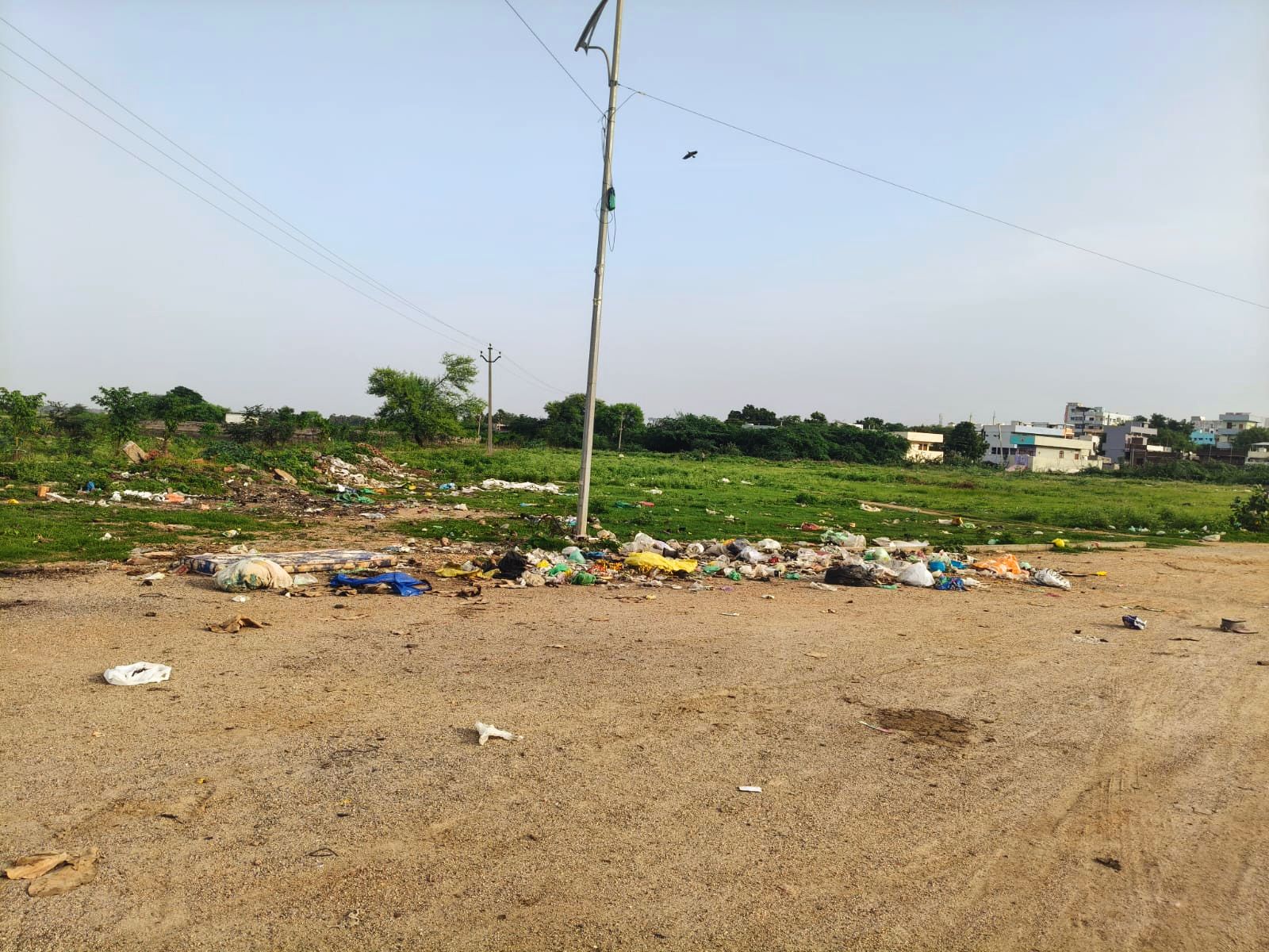 చెత్త కుప్పలతో కంపు కొడుతున్న తొర్రూర్ చెరువు కట్ట